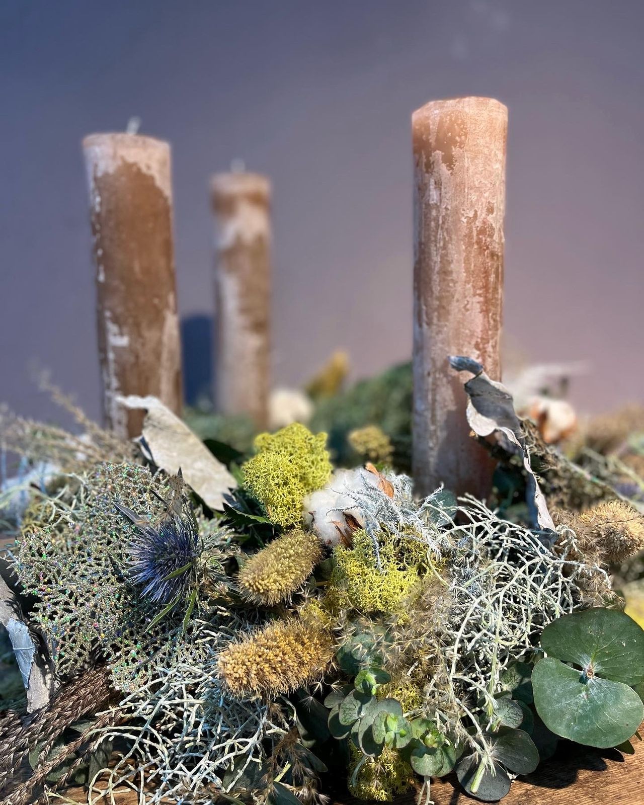 Workshop Adventskranz Meisterwerk