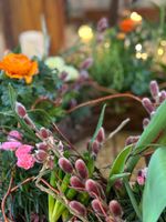 Workshop gepflanzter Frühlingskranz