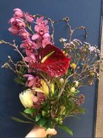 Cymbidium
