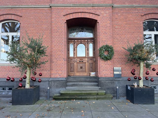 Weihnachtsdekoration, Oliven, Türkranz, Bepflanzung, Dekoration, Lichterkette