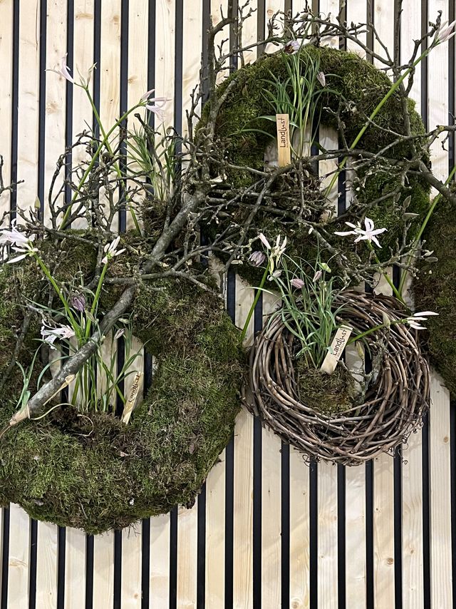 Wanddekoration, Wandschmuck, haltbare Dekoration, Winterliche Deko, Frühlingsdekoraiton, Zweige, Moos, Pflanzen, Essen, Buchung, Bochum, Business, Messe