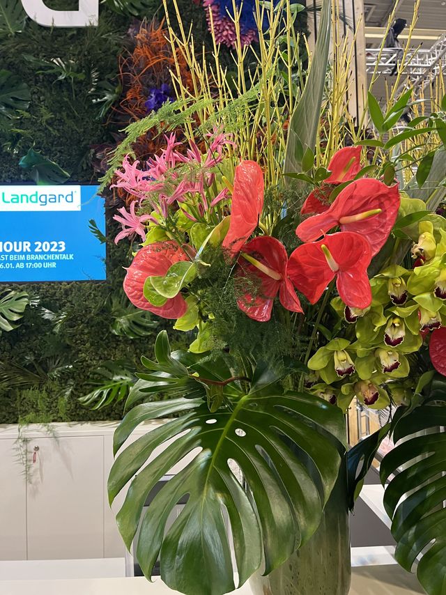 Blumenabo, Counterdeko, Blumen am Counter, Rezeptionsstrauß, Blumen am Empfang, Orchideen, Exotisch, frische Blumen