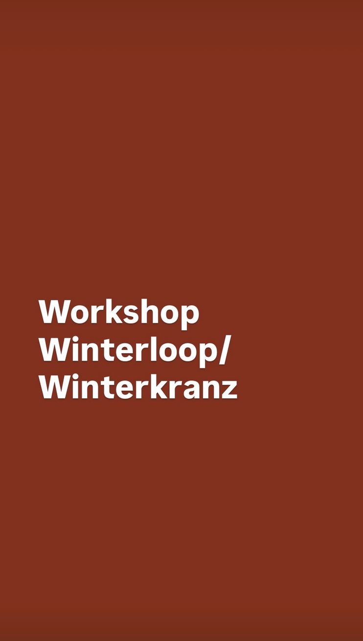 Winterlicher Loop mit LED/b Winterkranz