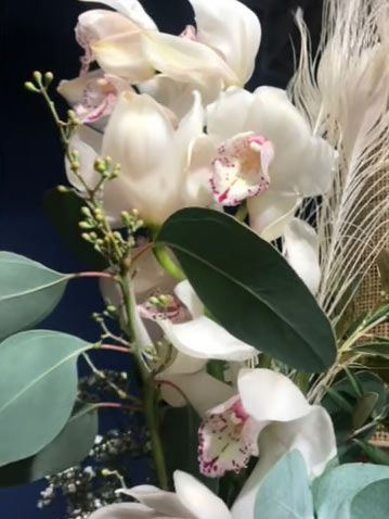 Bild: Cymbidium