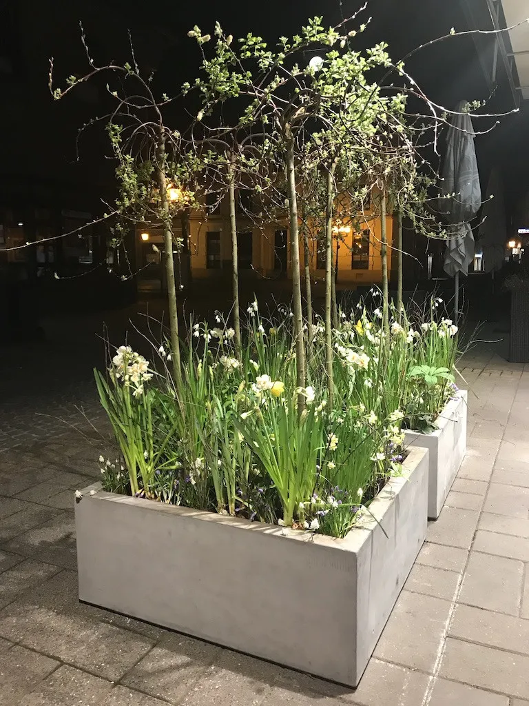 Blumenliebe für Zuhause – Floristik mit Herz für Ihre privaten Momente in Tönisvorst, Düsseldorf und Umgebung