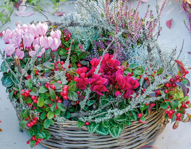 Workshop gepflanzter Herbstkranz